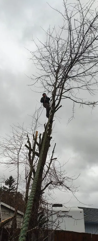 Slide of The Best Yard