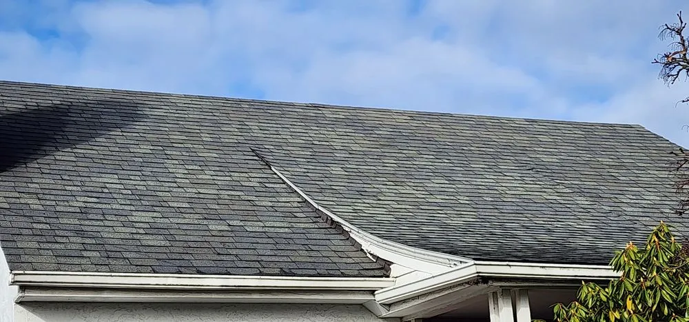 Slide of The Best Yard