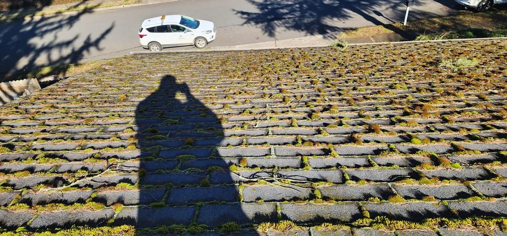 Slide of The Best Yard