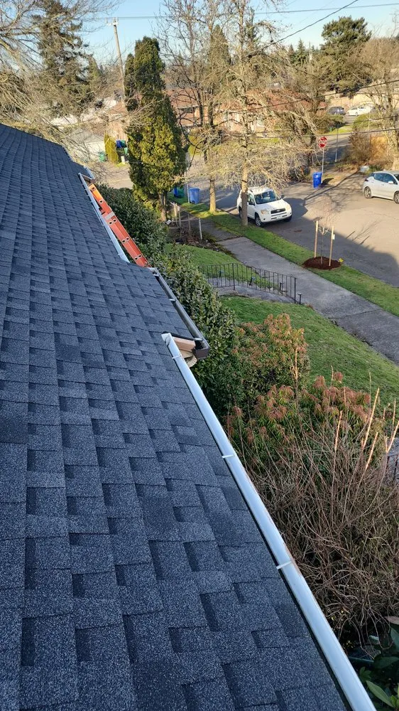 Slide of The Best Yard