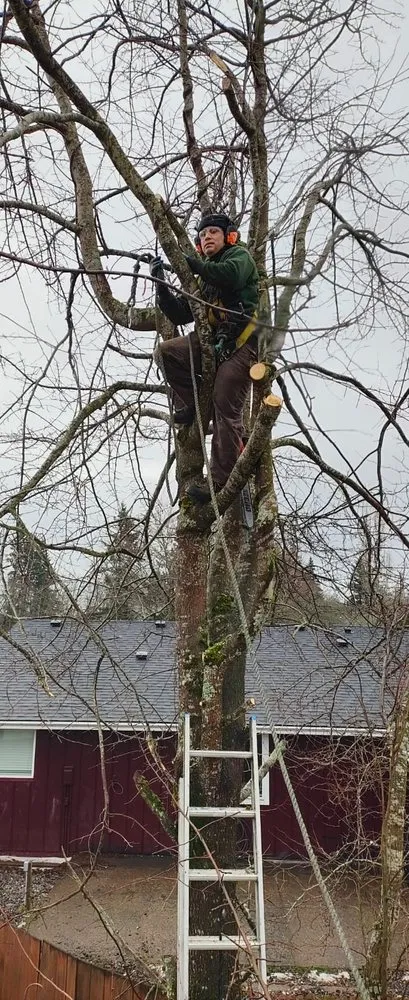 Slide of The Best Yard