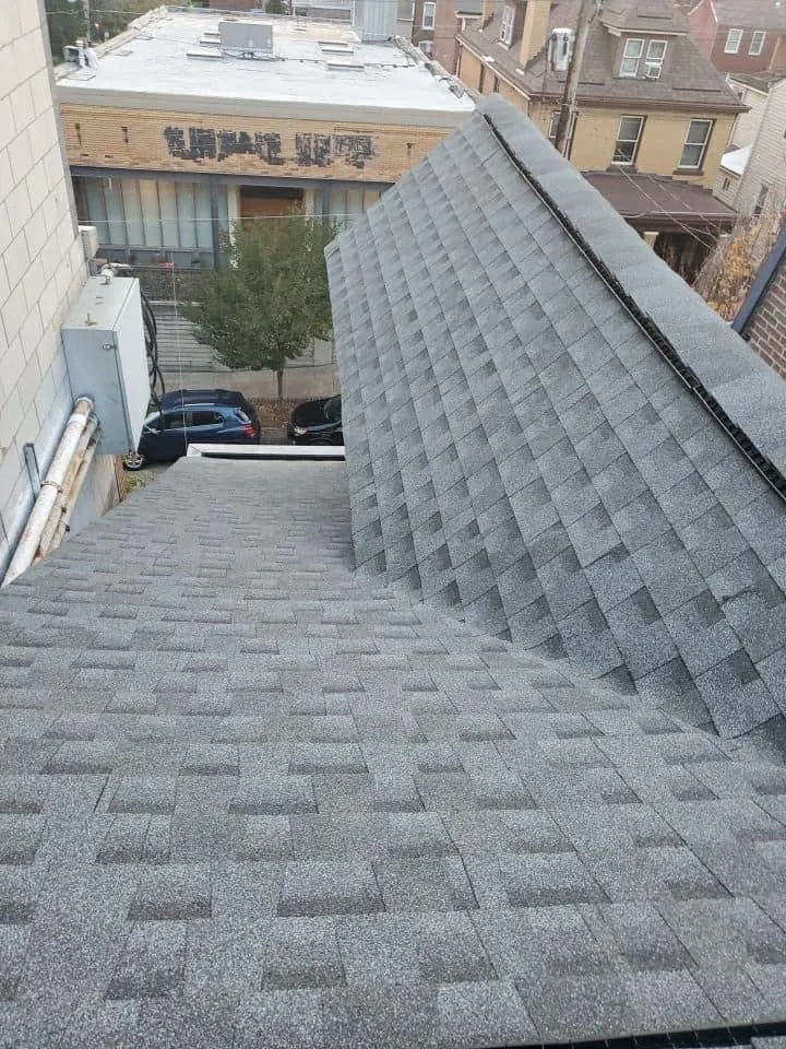 Slide of The Big Fish Contracting Company