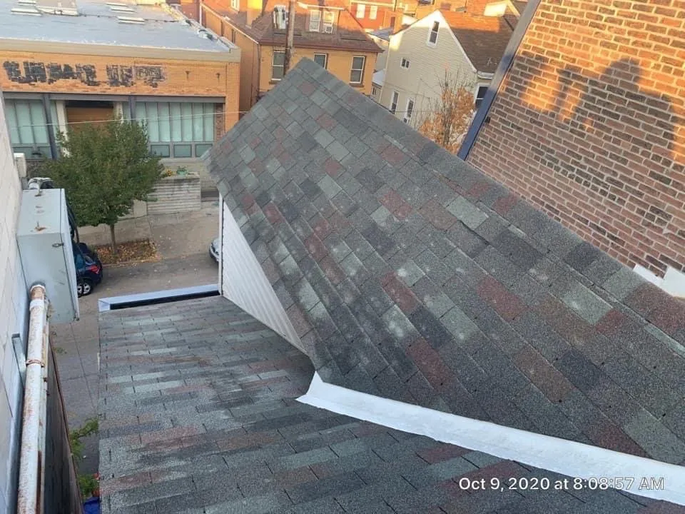 Slide of The Big Fish Contracting Company