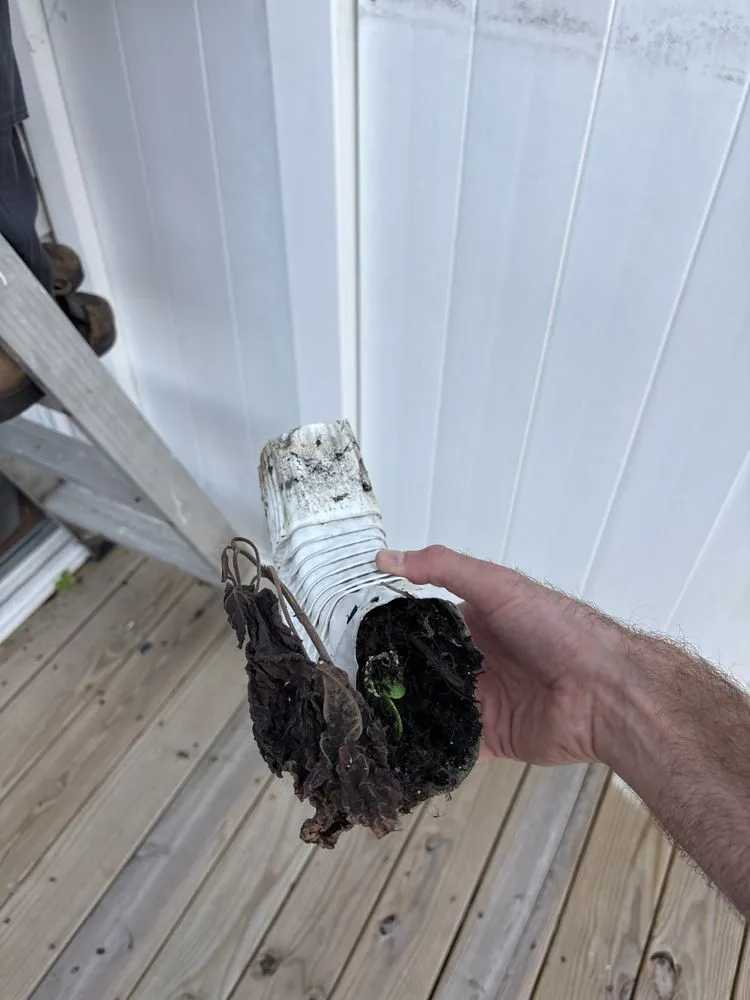 Slide of The Brothers That Just Do Gutters