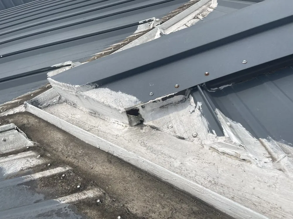 Slide of The Brush Brothers