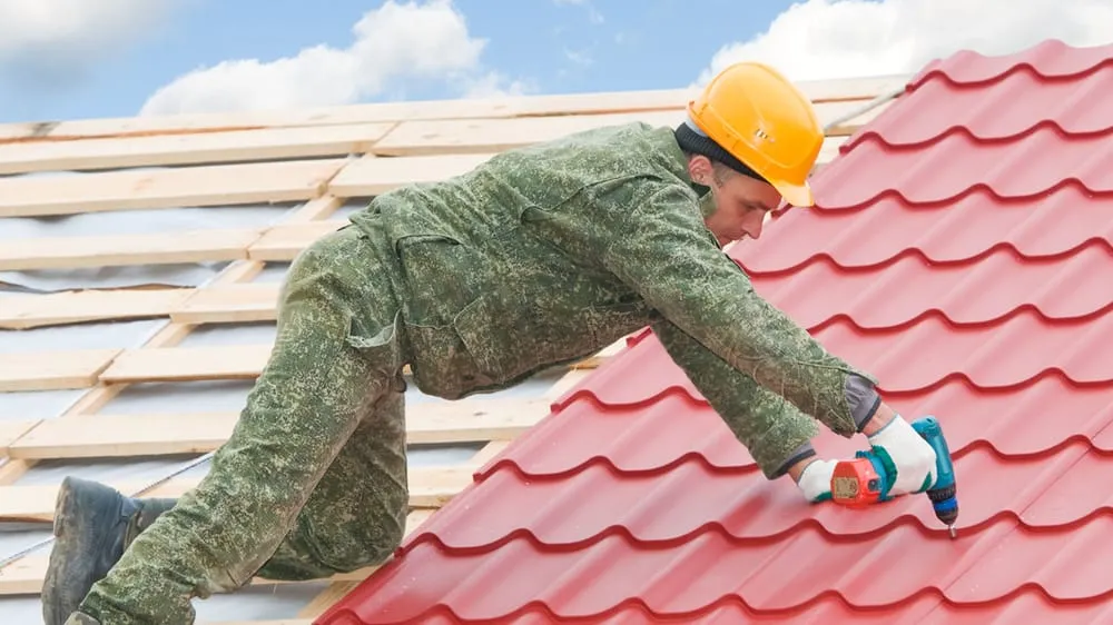 Slide of The Chimney Man