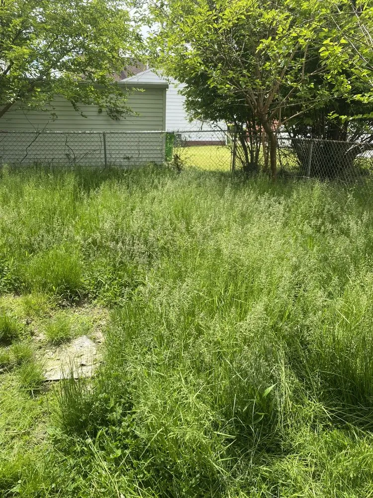 Slide of The Competent