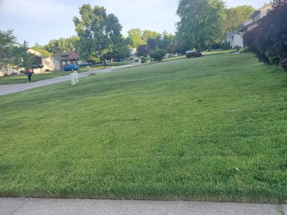 Slide of The Competent