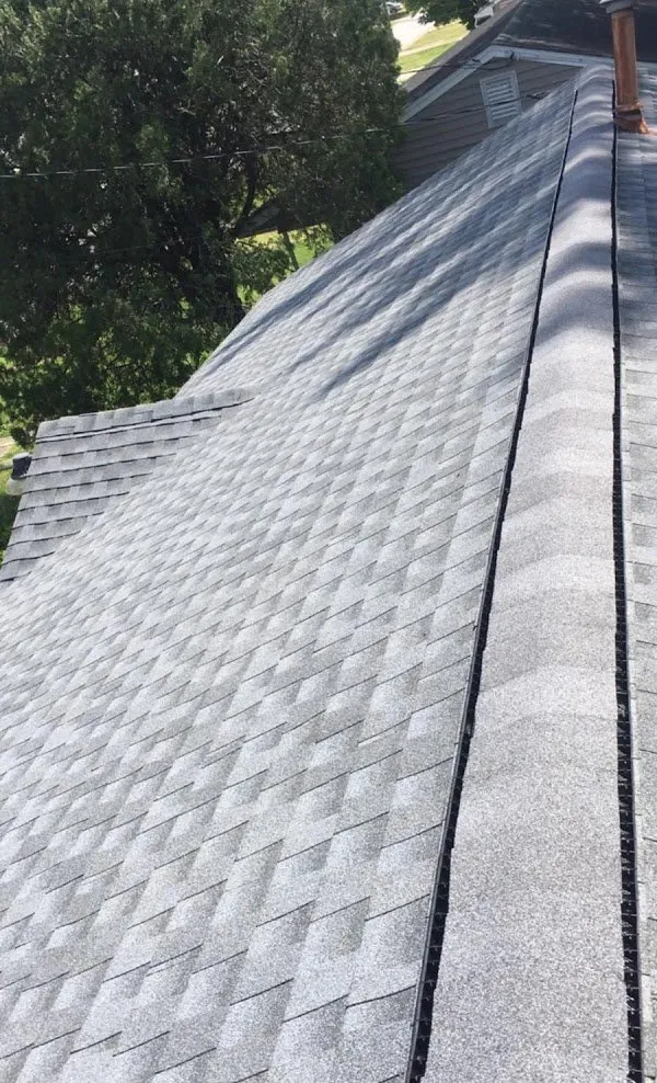 Slide of The Contractor