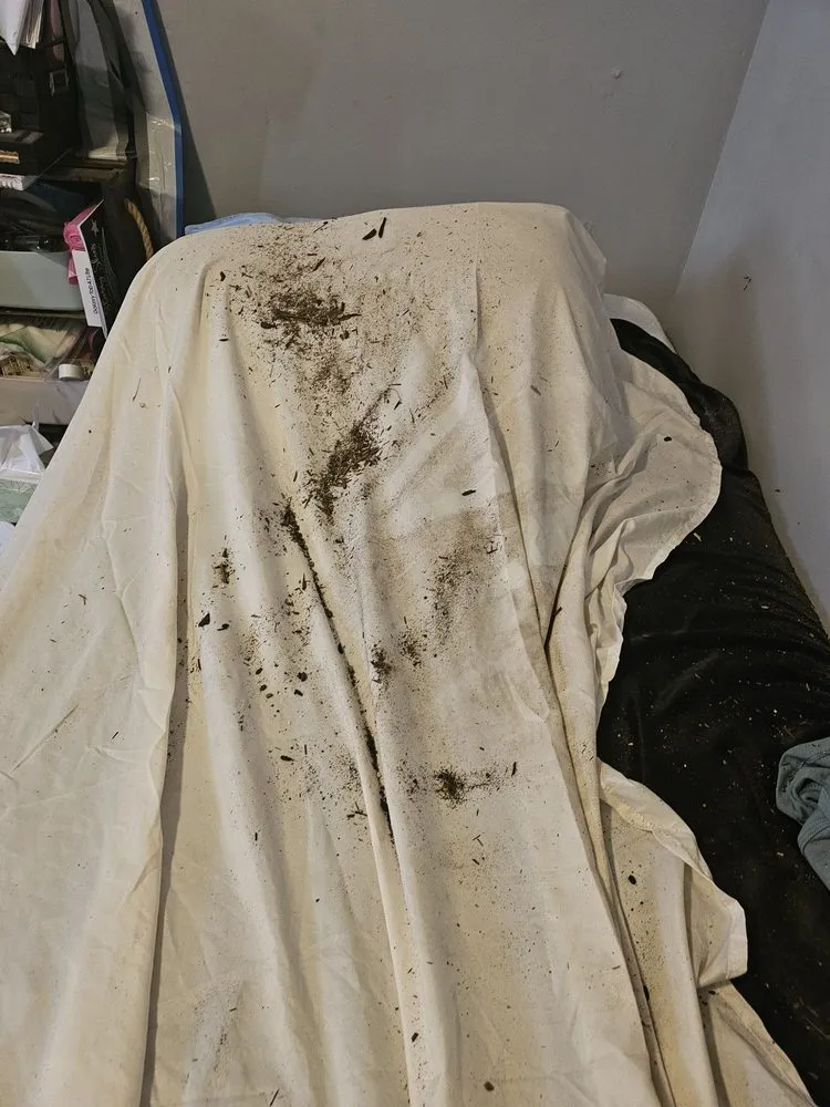 Slide of The Golden State Roofers