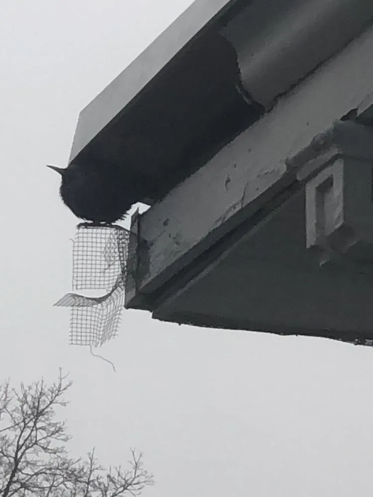 Slide of The Great American Roofing Company