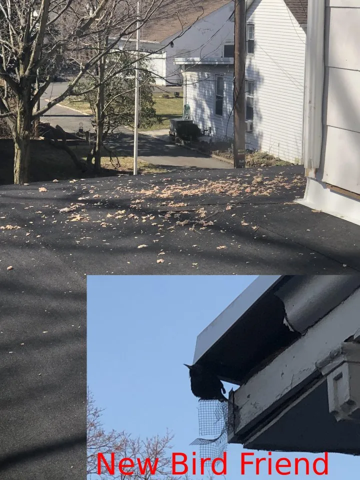 Slide of The Great American Roofing Company