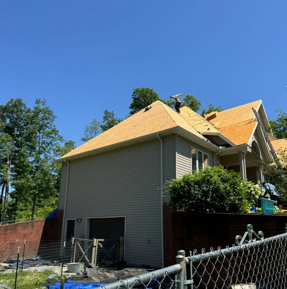 Slide of The Green Duck