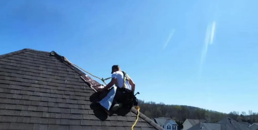 Slide of The Green Duck