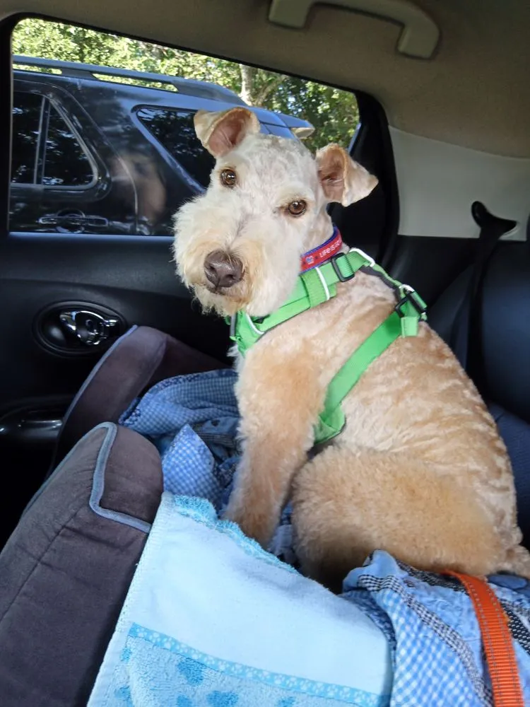 Slide of The Guild Collective