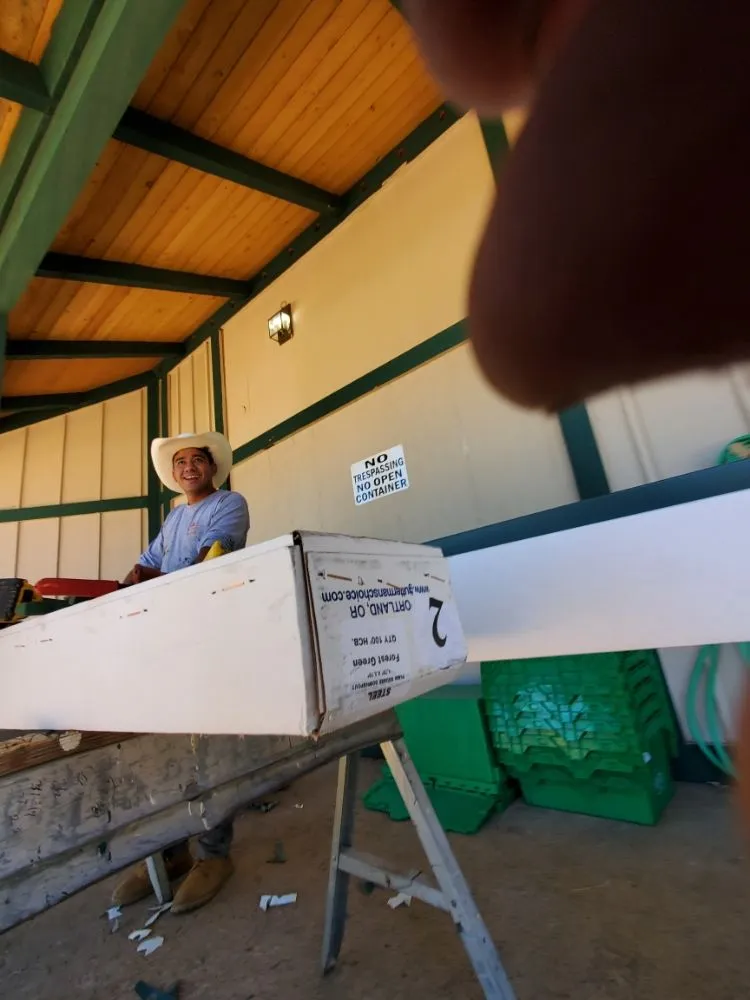 Slide of The Gutter Guard Specialist