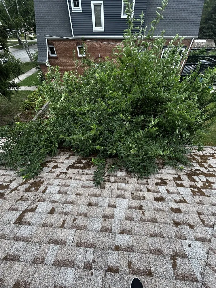 Slide of The Gutter Guy