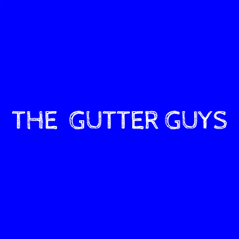 Top-rated roof repair experts serving Energy, IL - The Gutter Guys