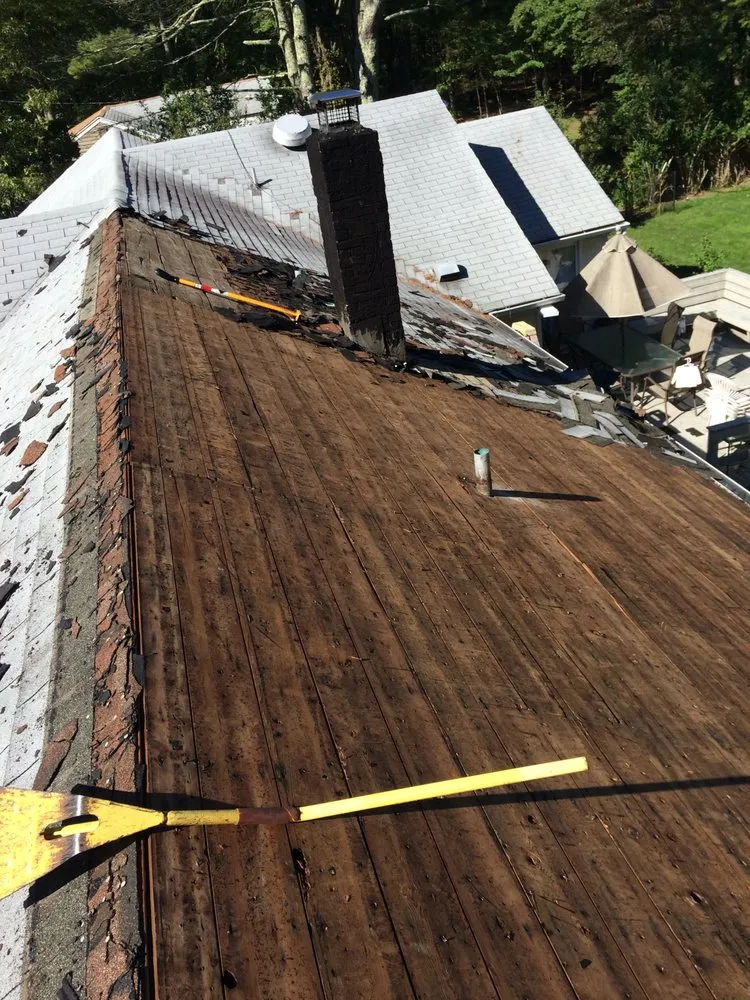 Slide of The Hampton Carpenter