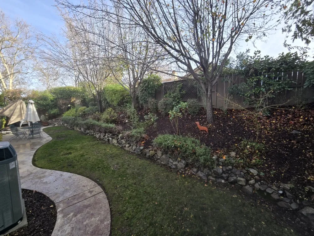 Slide of The Handy Couple