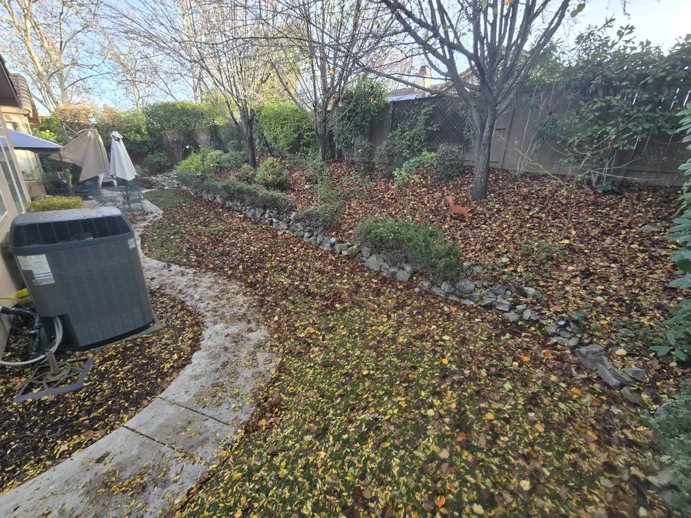 Slide of The Handy Couple