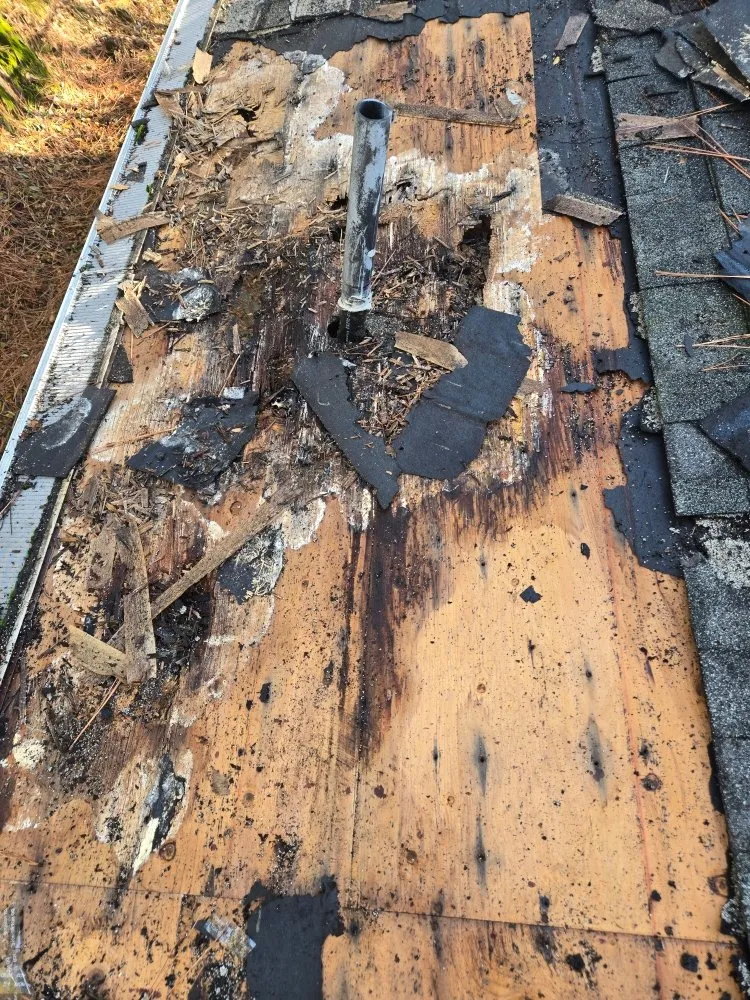 Slide of The Handy Couple