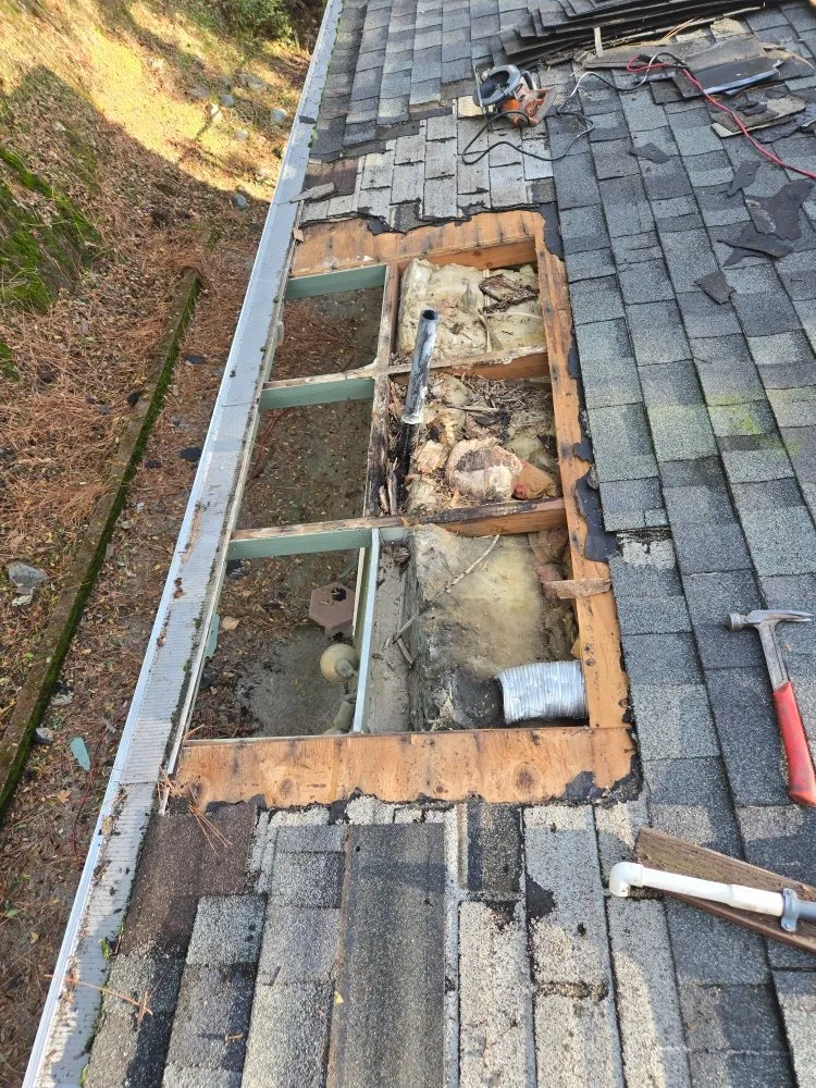 Slide of The Handy Couple