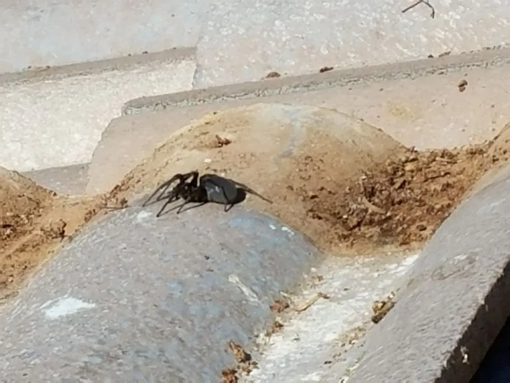 Slide of The Handy Roofer