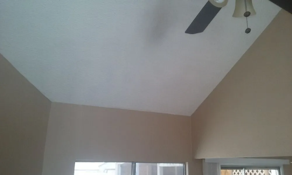 Slide of The Handy Roofer