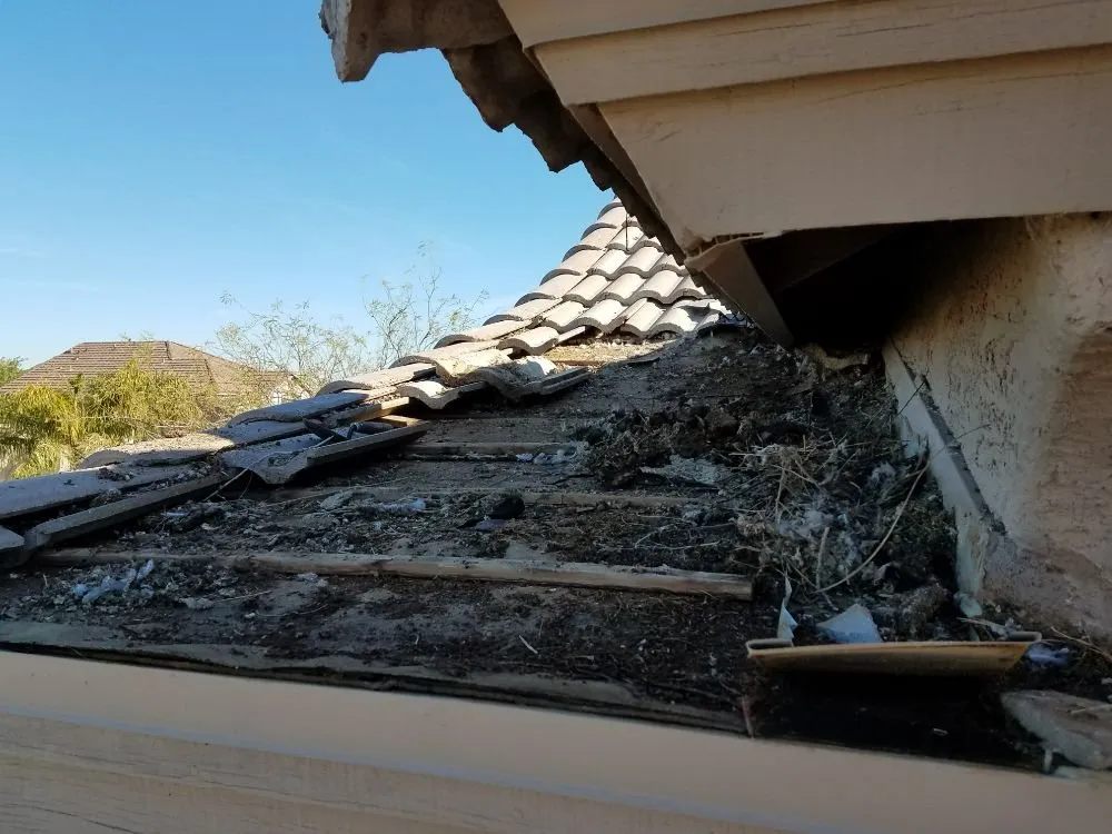 Slide of The Handy Roofer