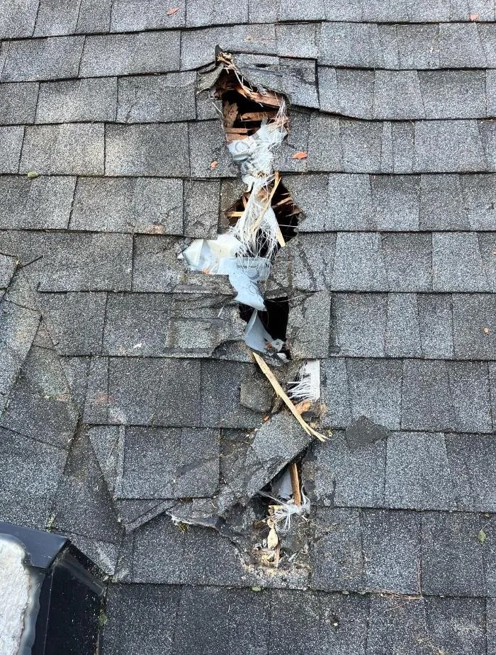 Slide of The Helping Company