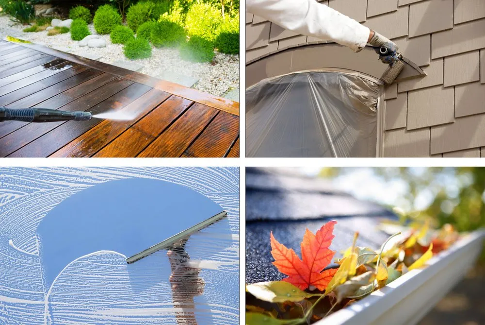 Slide of The Home Team