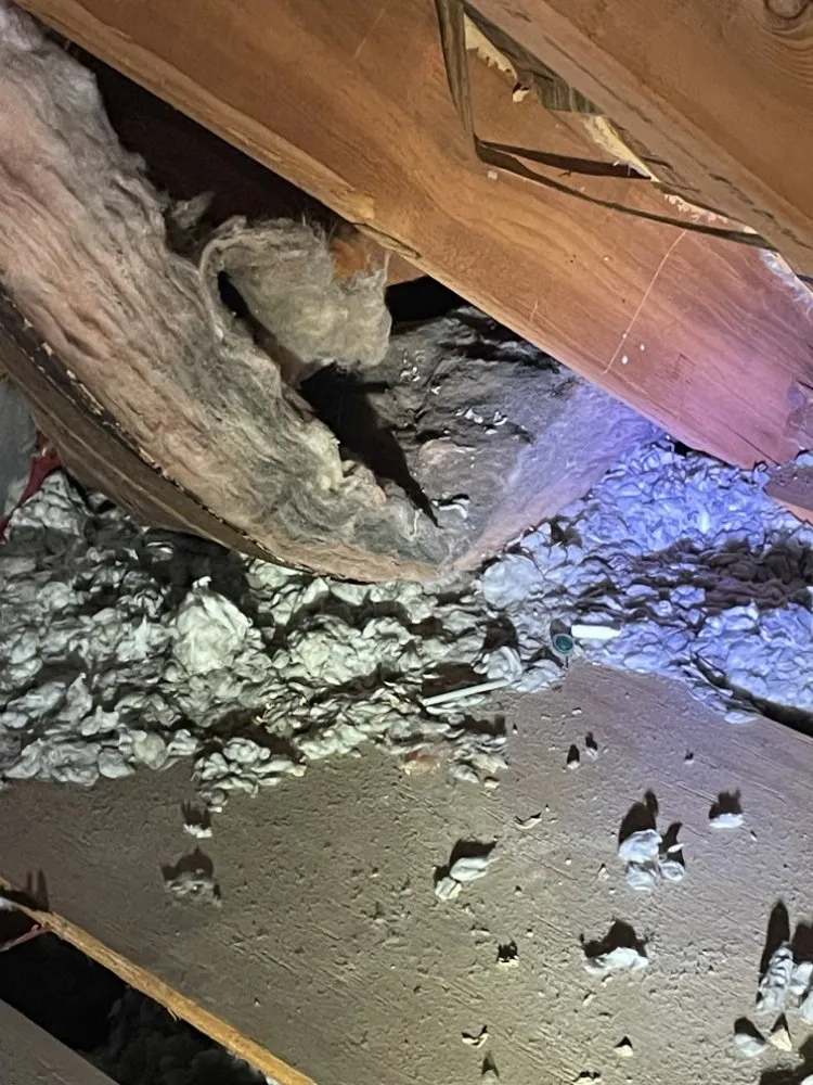 Slide of The Home Upgrade Hub