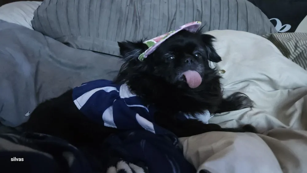 Slide of The House D.O.C