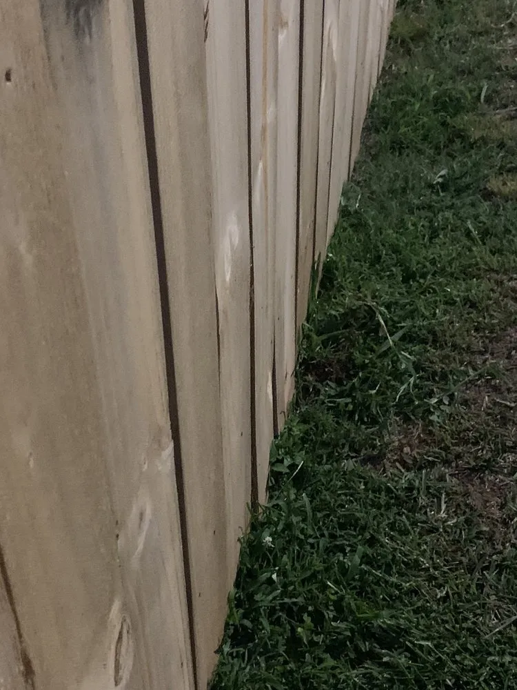 Slide of The Improvement Store