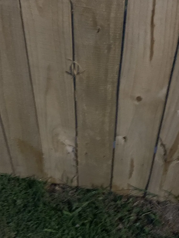 Slide of The Improvement Store