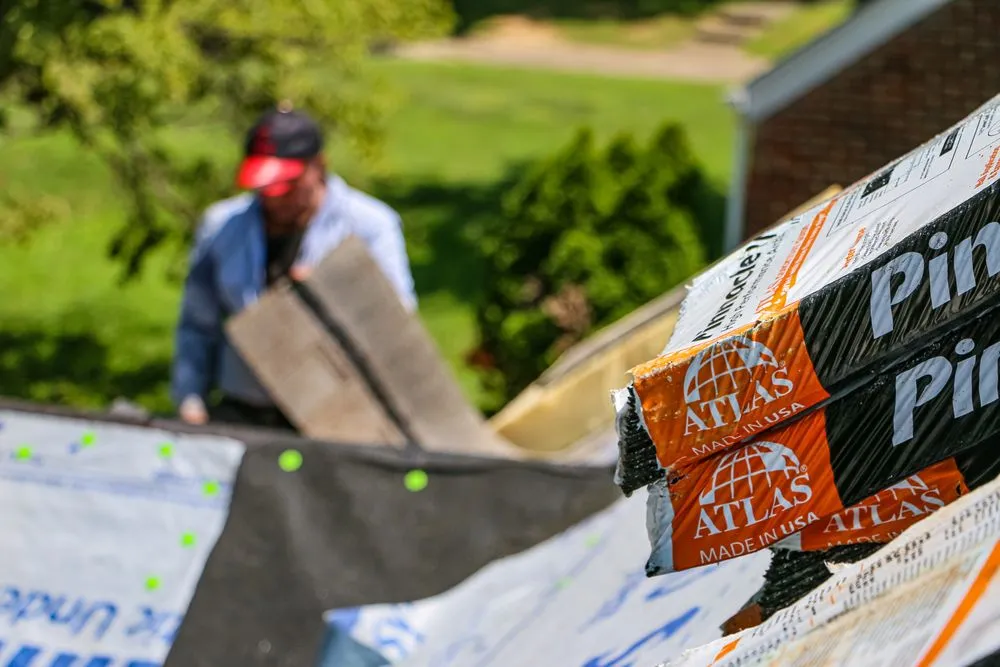 Slide of The King's Mitigator