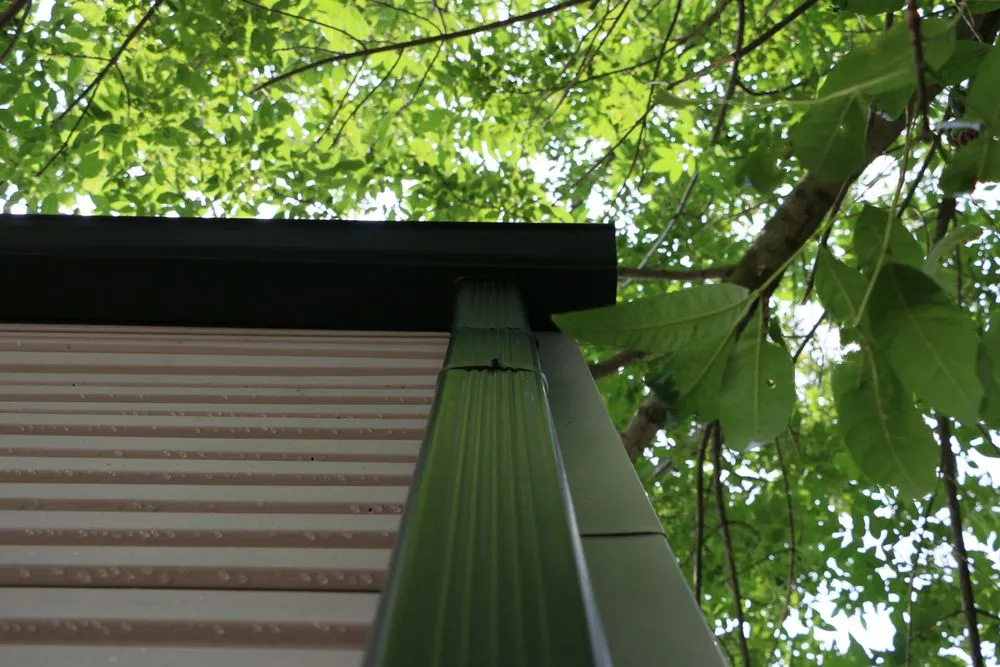 Slide of The King's Mitigator