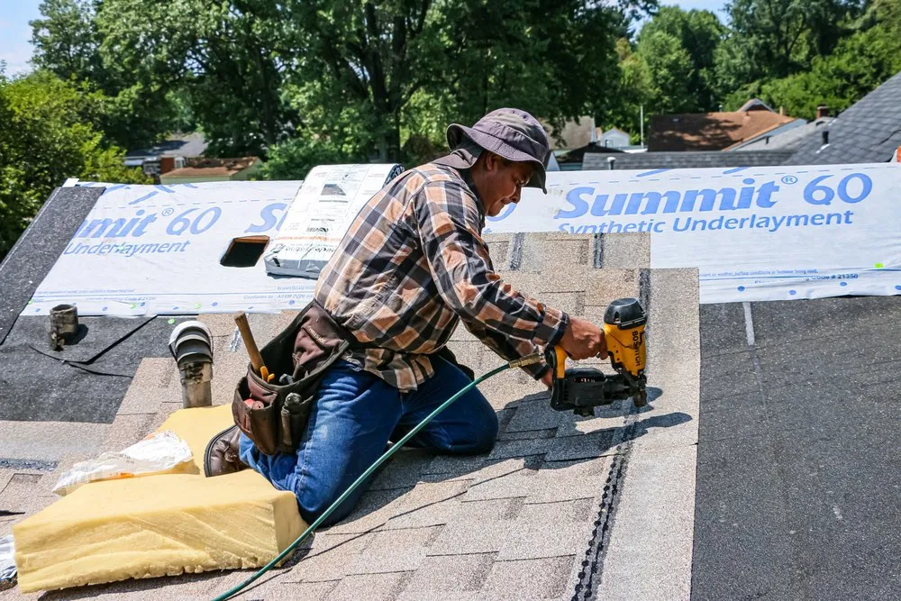 Slide of The King's Mitigator