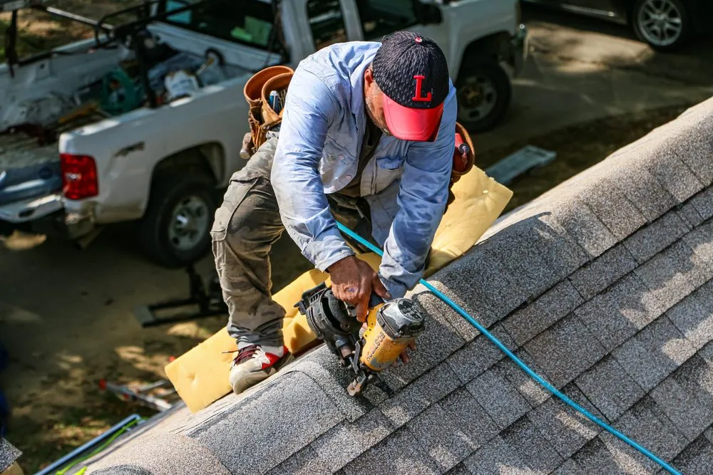 Slide of The King's Mitigator