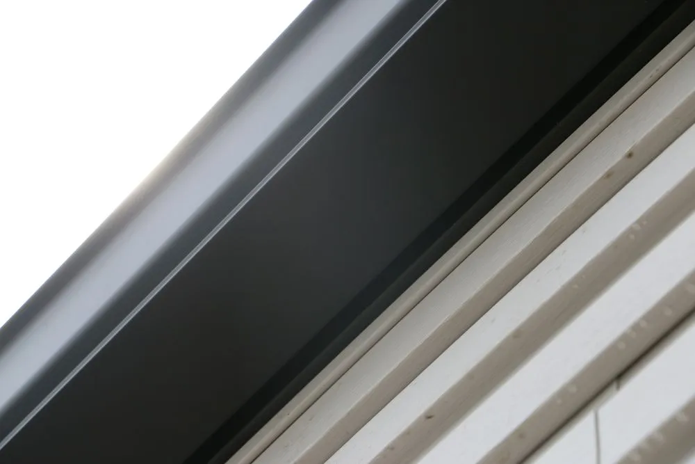 Slide of The King's Mitigator