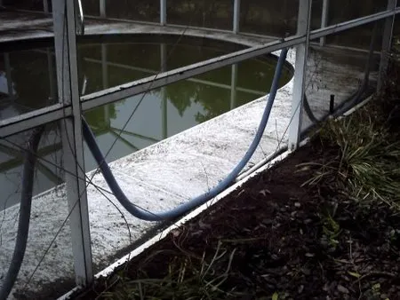 Slide of The Lanai Guys