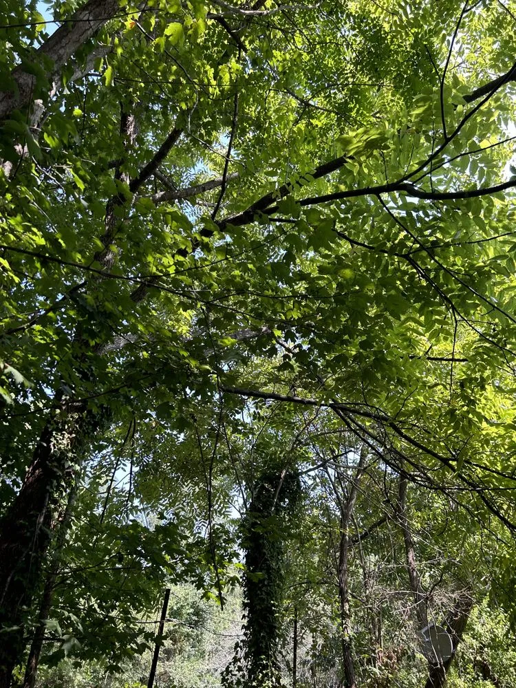 Slide of The Last Chance Gutter Cleaning & Home Maintenance