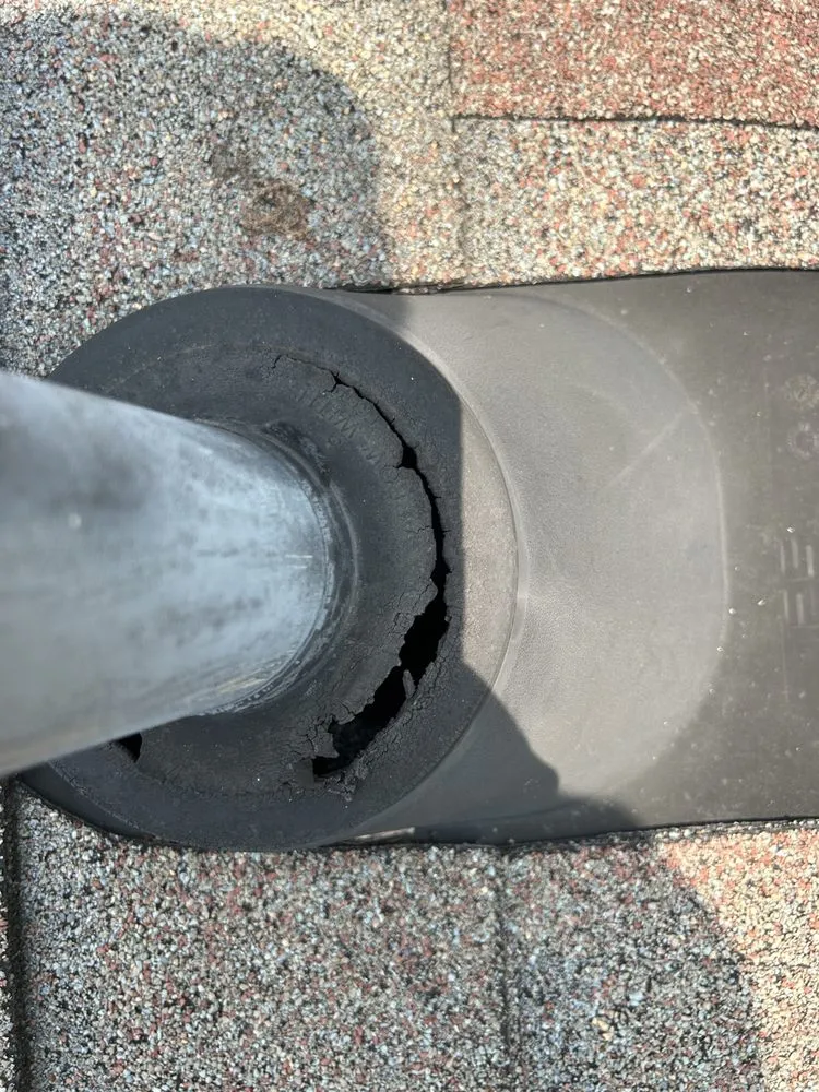 Slide of The Last Chance Gutter Cleaning & Home Maintenance