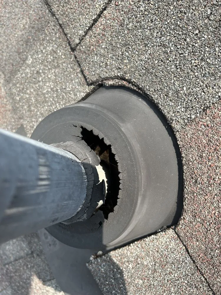 Slide of The Last Chance Gutter Cleaning & Home Maintenance