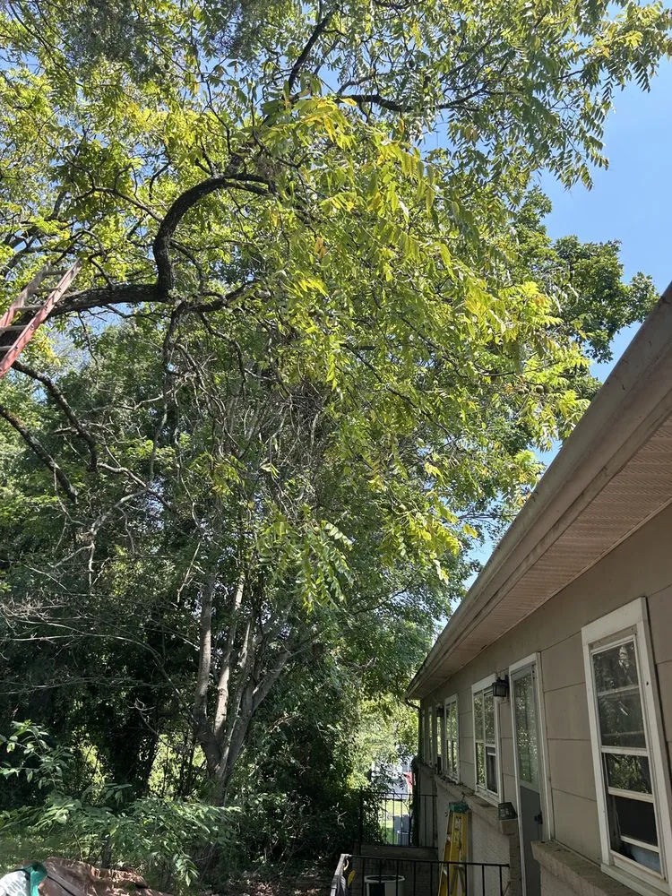 Slide of The Last Chance Gutter Cleaning & Home Maintenance