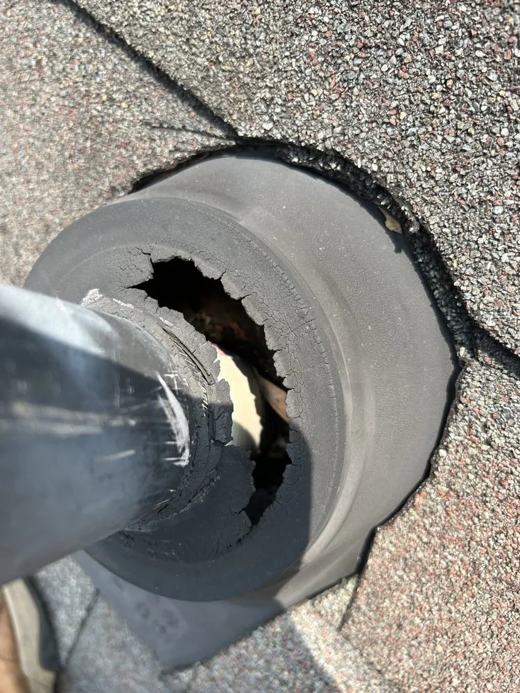 Slide of The Last Chance Gutter Cleaning & Home Maintenance