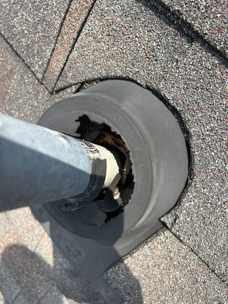 Slide of The Last Chance Gutter Cleaning & Home Maintenance