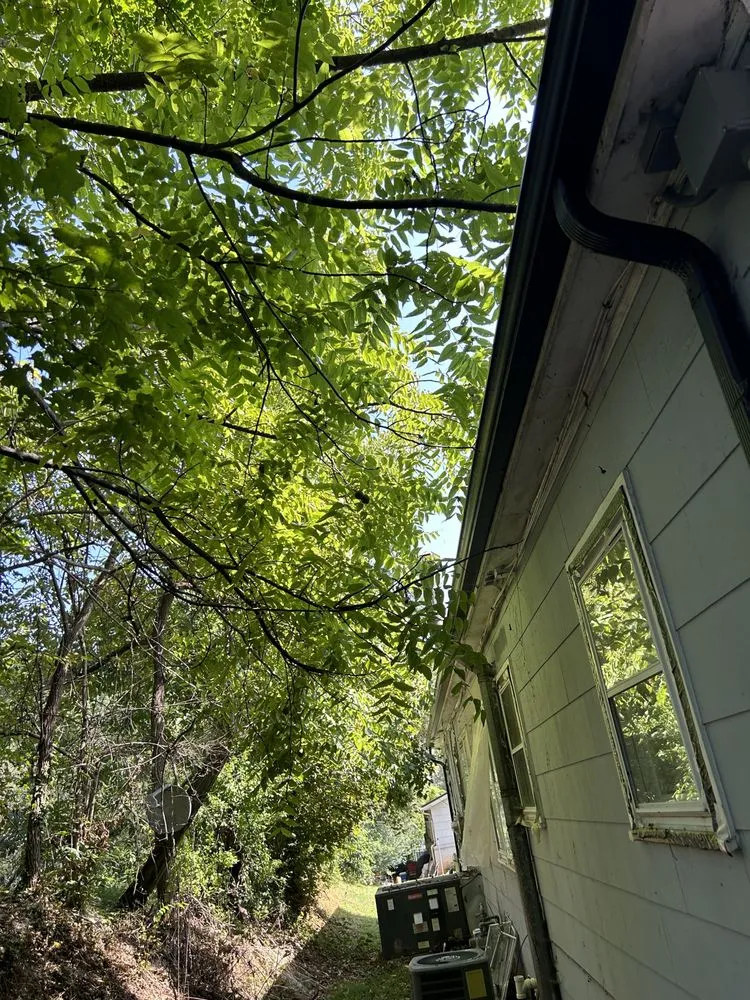 Slide of The Last Chance Gutter Cleaning & Home Maintenance