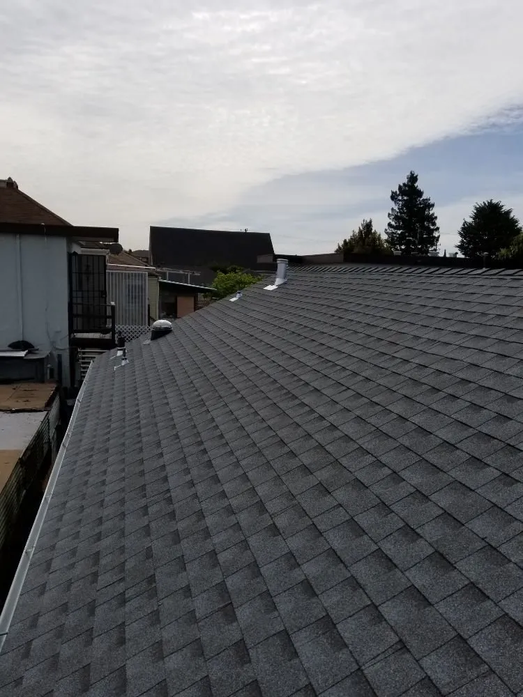 Slide of The Last Detail Roofing